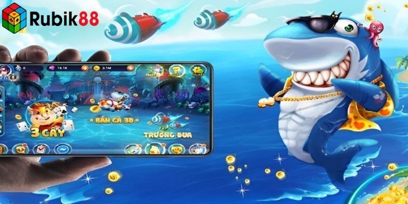 Chỉnh máy theo bản đồ sẽ tăng hiệu quả săn cá